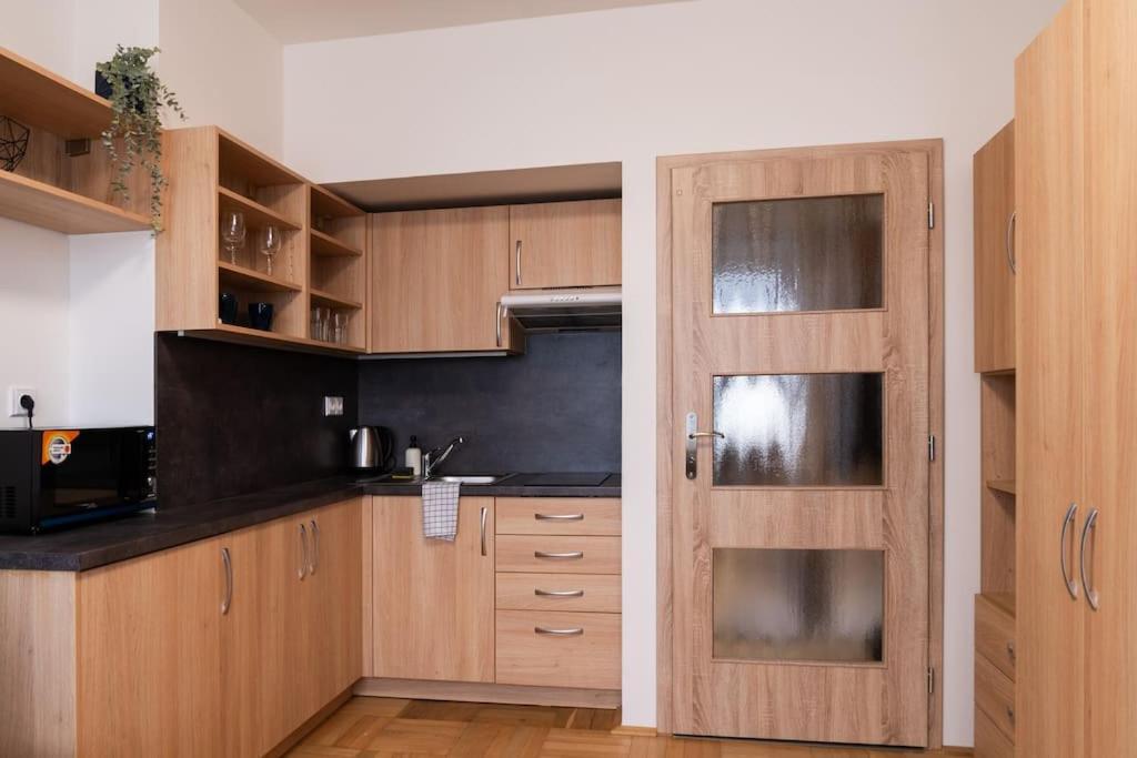 Studio Apartment In Brno-Center Exterior photo