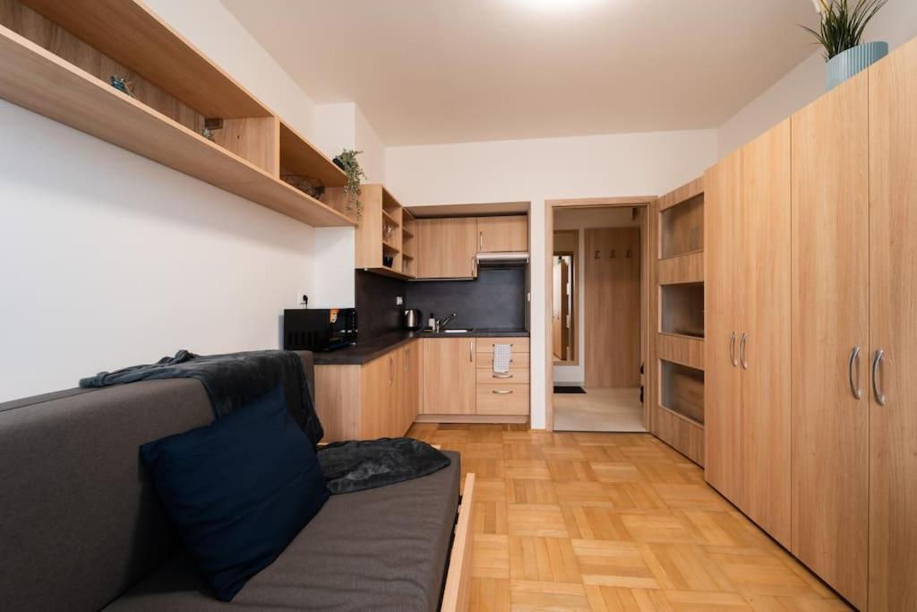 Studio Apartment In Brno-Center Exterior photo