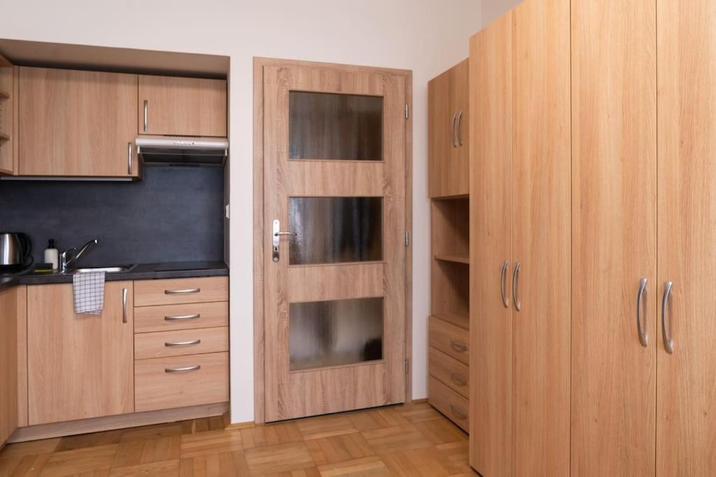 Studio Apartment In Brno-Center Exterior photo