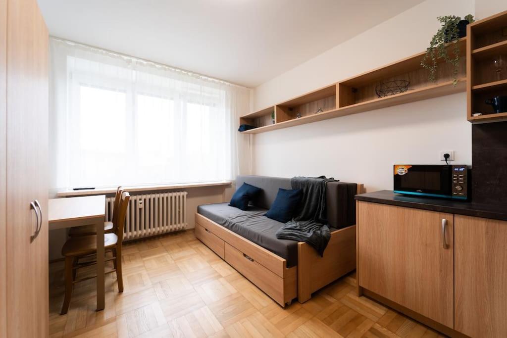 Studio Apartment In Brno-Center Exterior photo